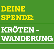 Banner Krötenwanderung