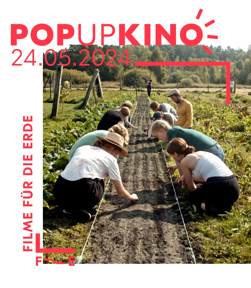 Pop-up-Kino: Ernte teilen